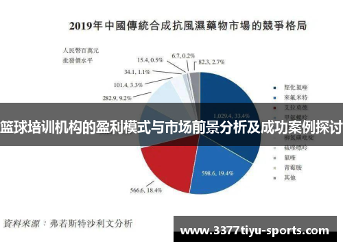 篮球培训机构的盈利模式与市场前景分析及成功案例探讨