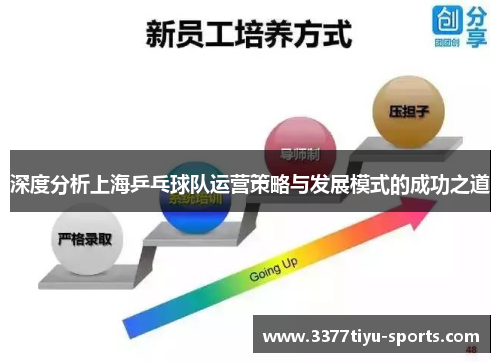 深度分析上海乒乓球队运营策略与发展模式的成功之道